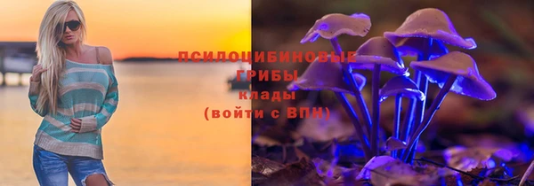 ALPHA PVP Киреевск