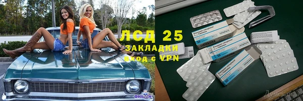 стафф Касимов