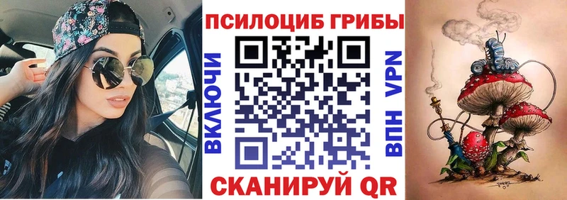 Галлюциногенные грибы прущие грибы  Ковдор 