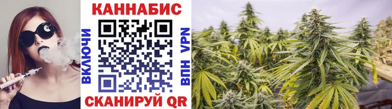 Марихуана гибрид Ковдор